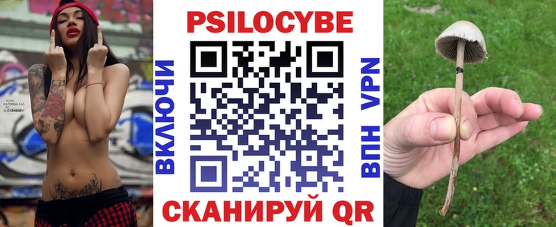 кракен купить Пушкино Галлюциногенные грибы GOLDEN TEACHER