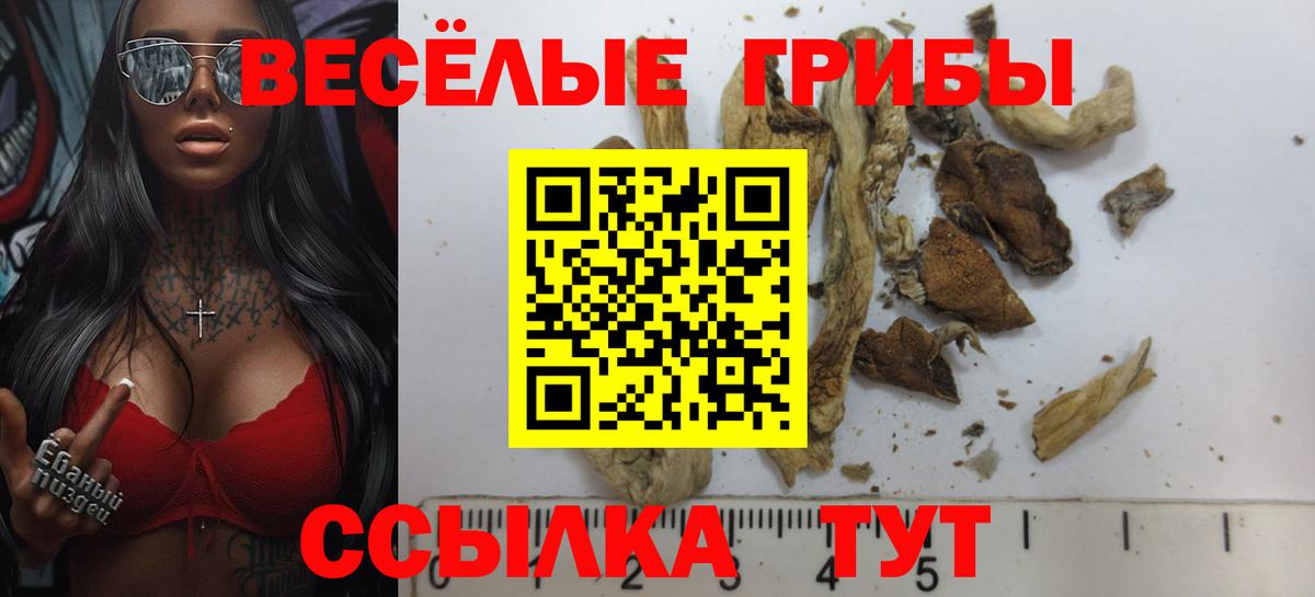 магазин продажи наркотиков  Псилоцибиновые грибы Psilocybine cubensis  Пушкино  Псилоцибиновые грибы MAGIC MUSHROOMS 