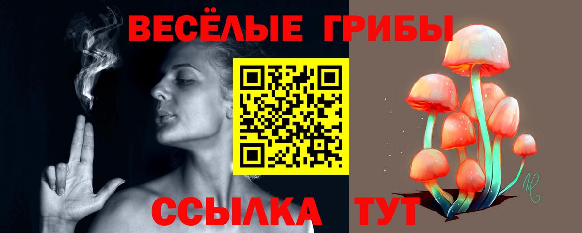 Галлюциногенные грибы Cubensis Пушкино
